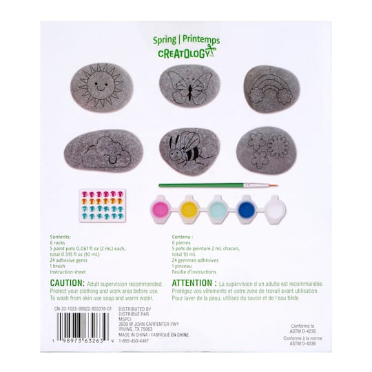 Fancy Rock Painting Kit by Creatology™